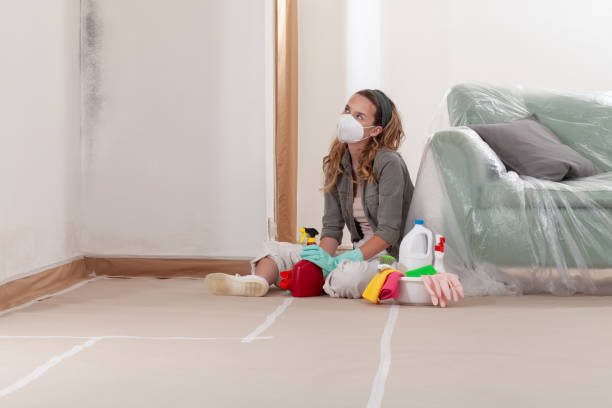 Reliable Mold Testing contractor in Empire, MI by WQB Mold Removal